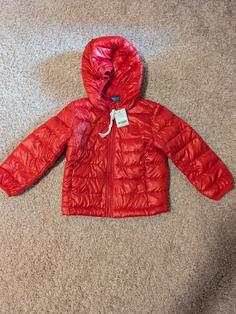 Primary Red Quilted Hooded Puffer Jacket for Kids